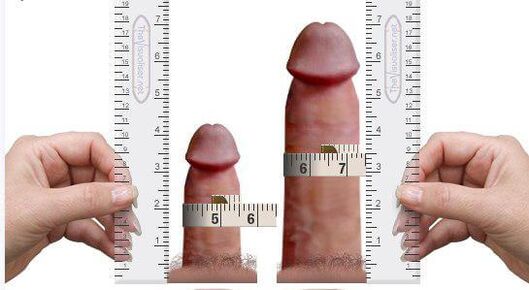 măsurarea penisului pentru și după mărirea acasă